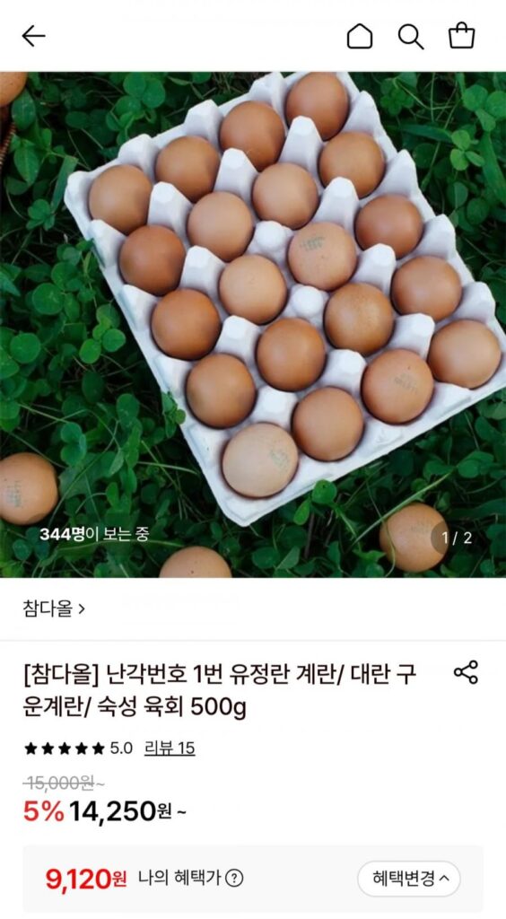 Đảm bảo hư hỏng, không kháng sinh, vỏ trứng thụ tinh số 1, 20 trứng