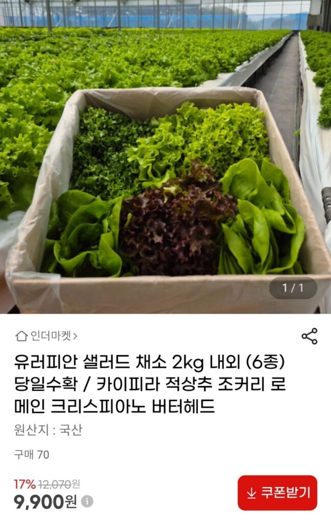 Rau salad kiểu Âu 2kg