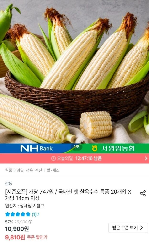 Ngô nếp nguyên liệu đặc sản nội địa 20 miếng 14cm trở lên