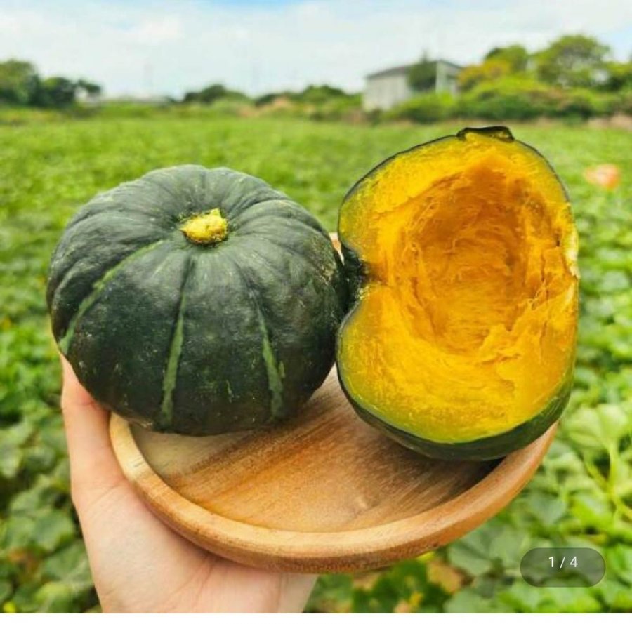 Bí ngô mini hoàng gia size 4kg