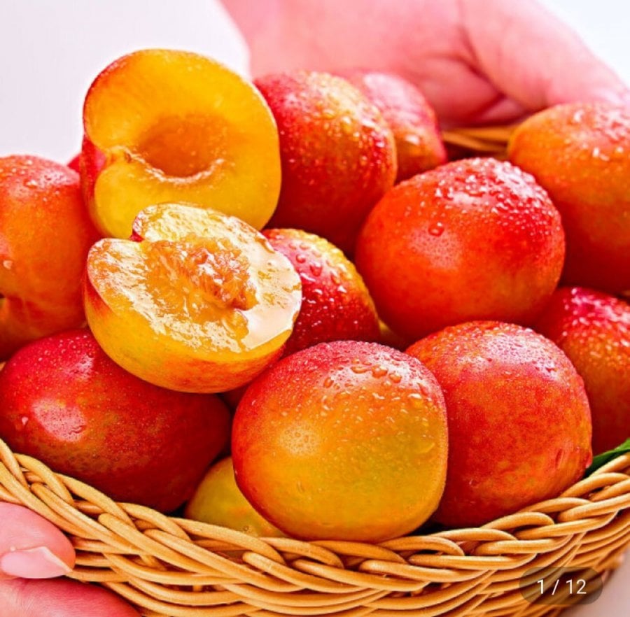 Mận mũ Gimcheon 1kg