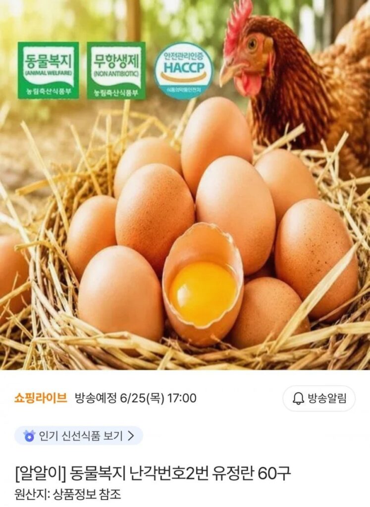 Phúc lợi động vật Vỏ trứng số 2 Trứng thụ tinh, kim chi khô, bánh mì thập cẩm, cá kiếm bạc, lòng bò, rong biển, nghêu sống