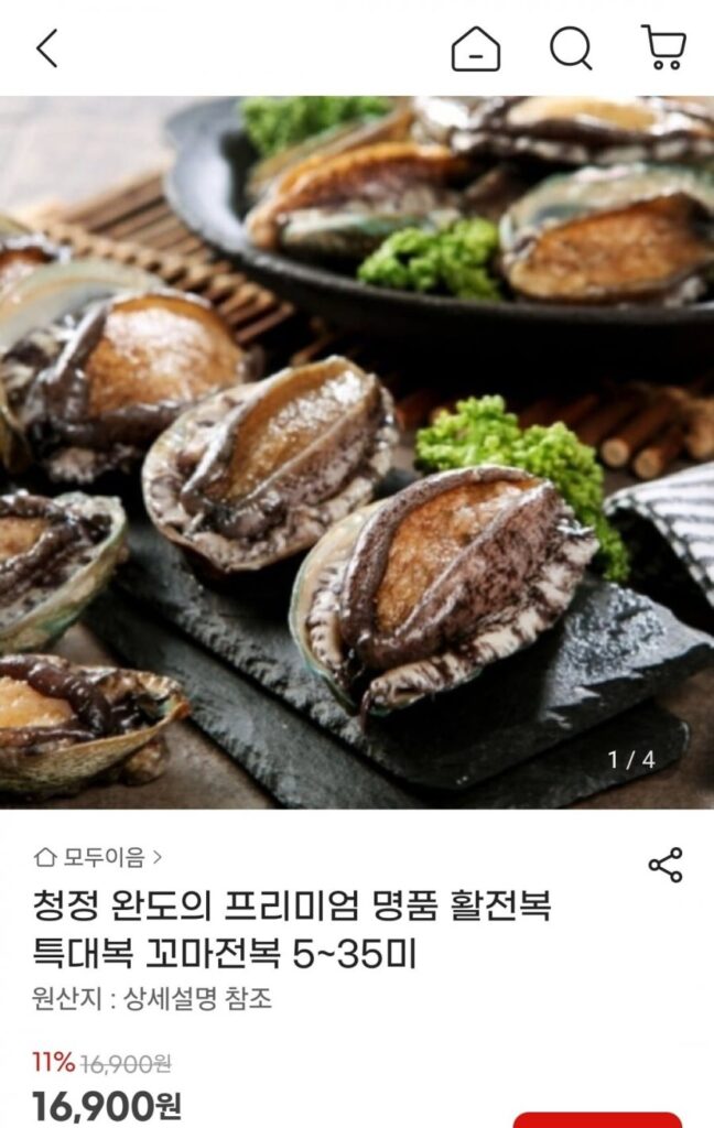 Bào ngư sống Wando cực lớn 6-7 miếng