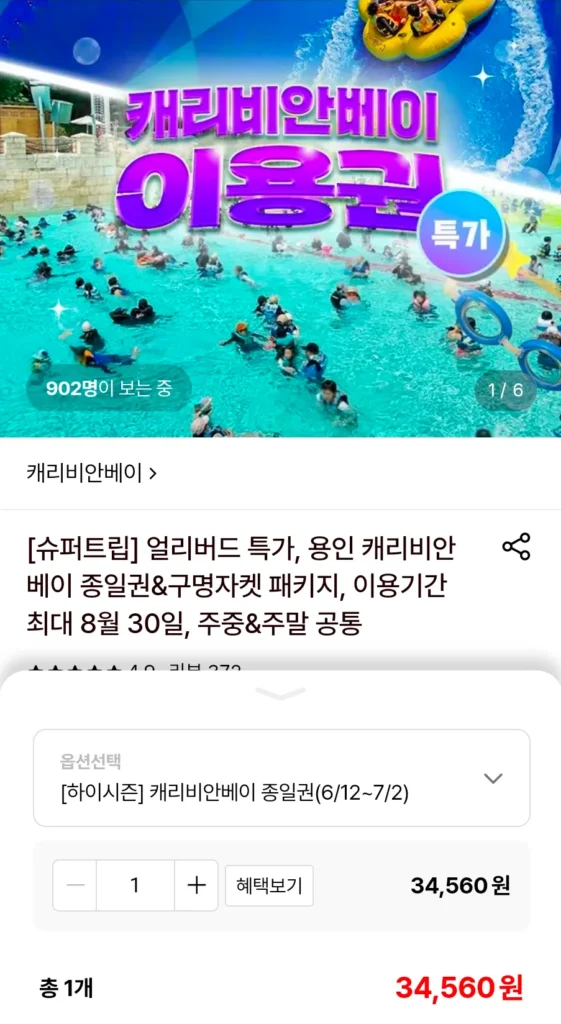 Vé cả ngày Vịnh Yongin Caribbean