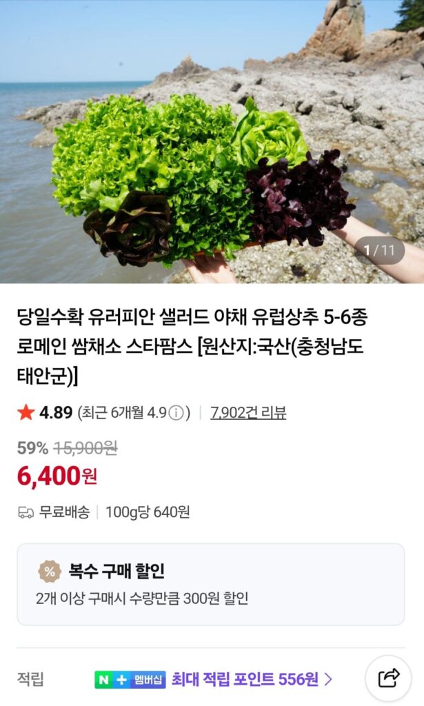 Salad Âu 5 đến 6 loại rau, 1 kg