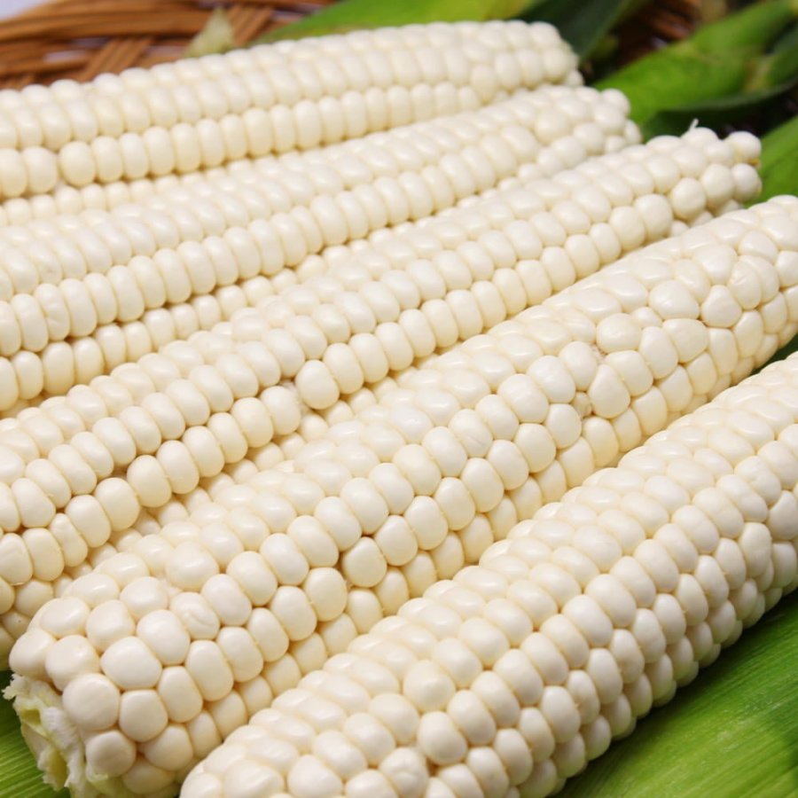 Ngô sáp trắng da 26 tuổi 10 gói