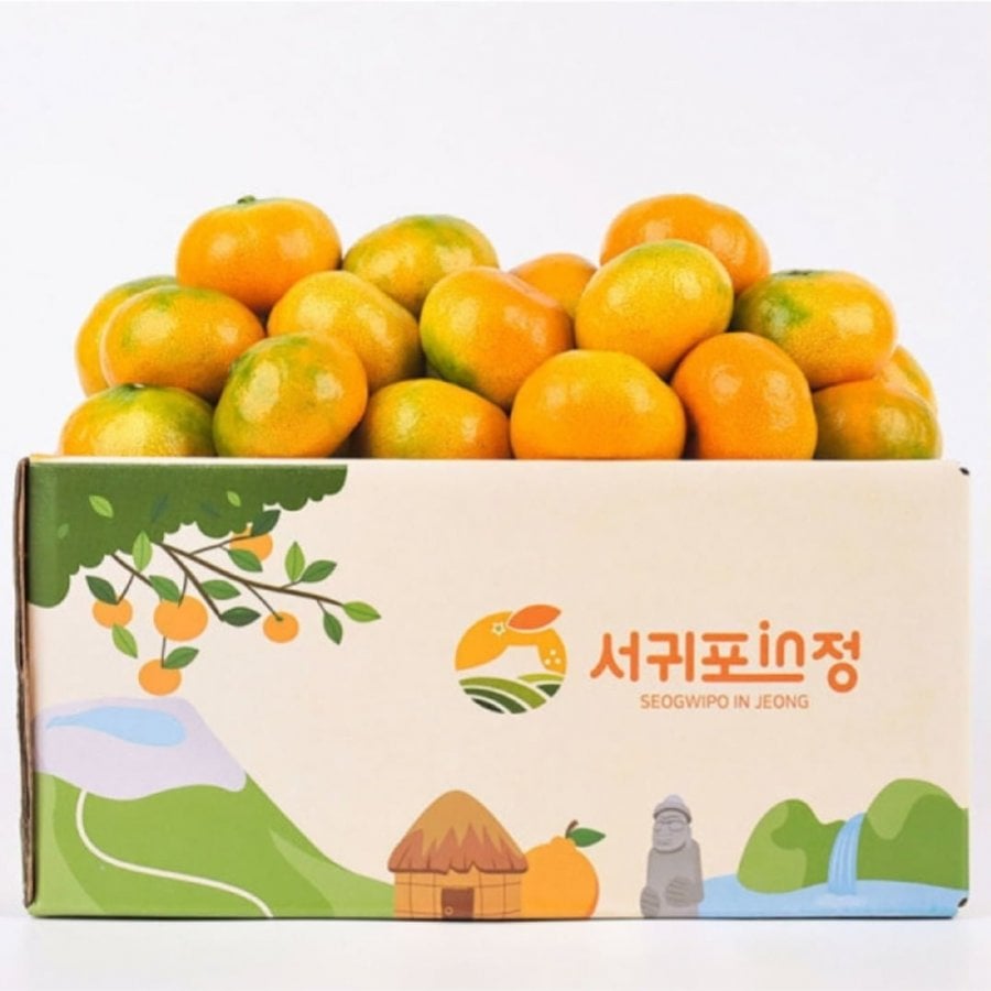 Seogwipoinjeong Jeju House Quýt nặng 2,5kg