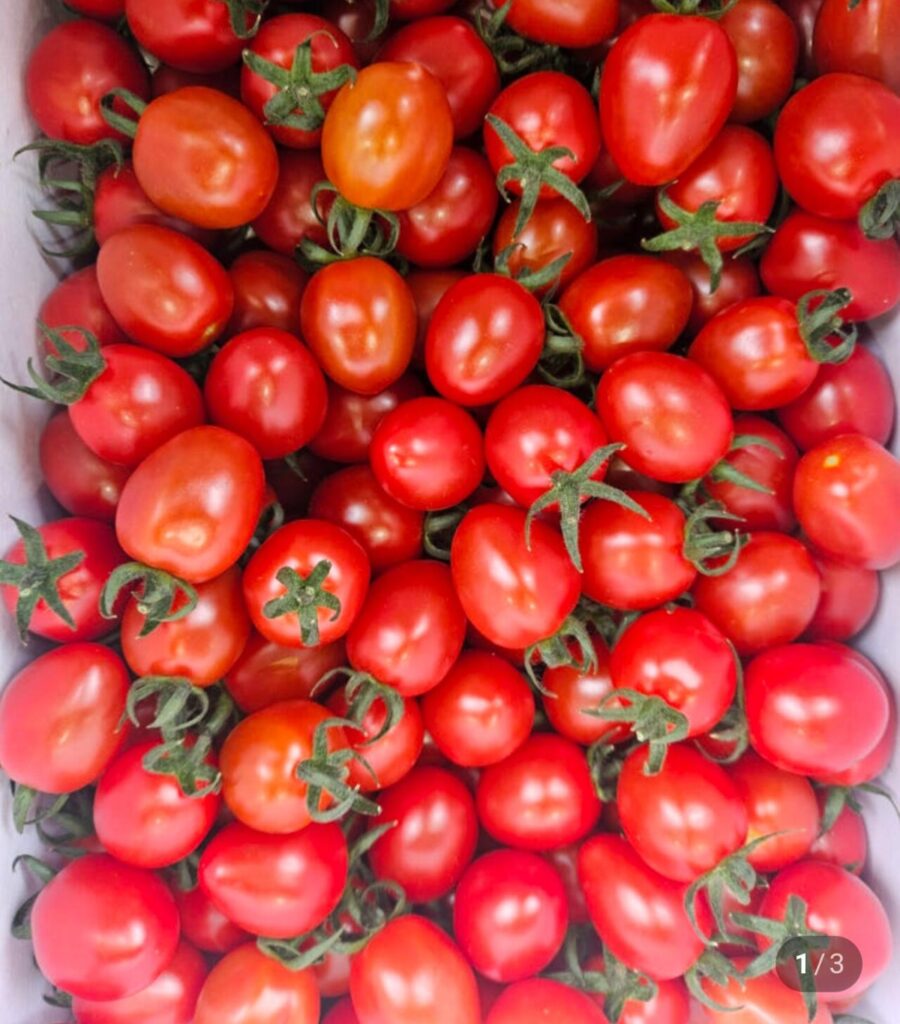 Cà chua bi táo tàu 5kg