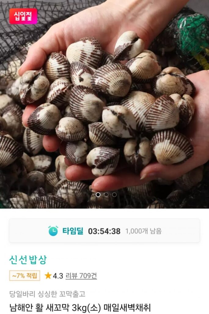 Sò sống South Coast 3kg (nhỏ)