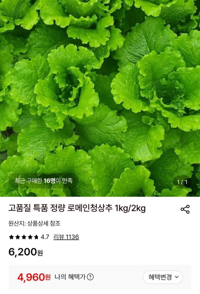 Xà lách romaine xanh 1kg
