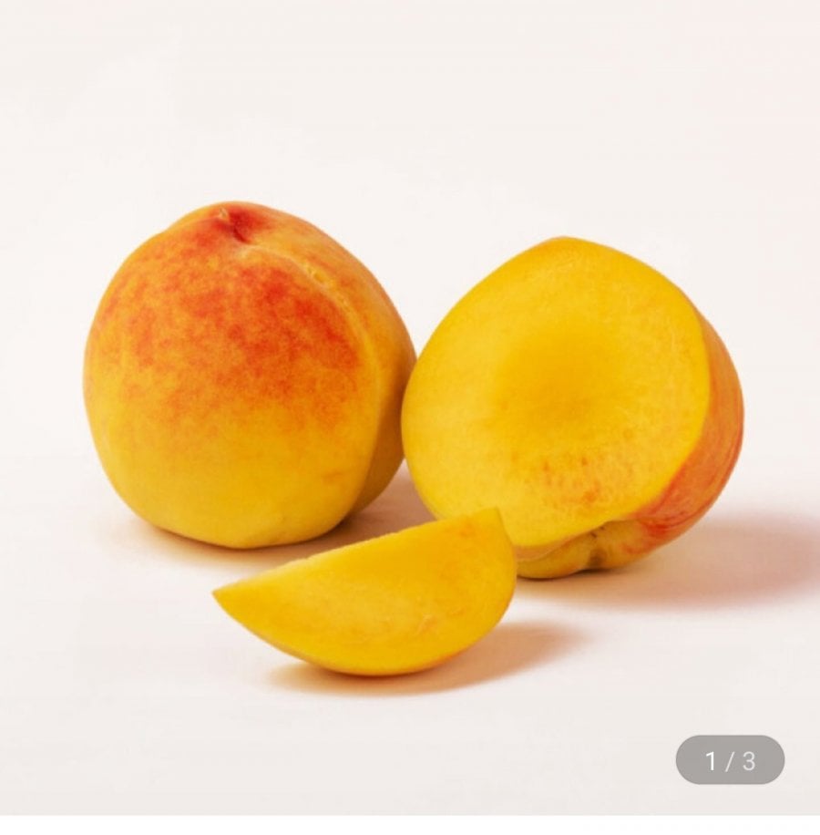 Hwangdo 2kg, khoảng 11~13, vừa và nhỏ~
