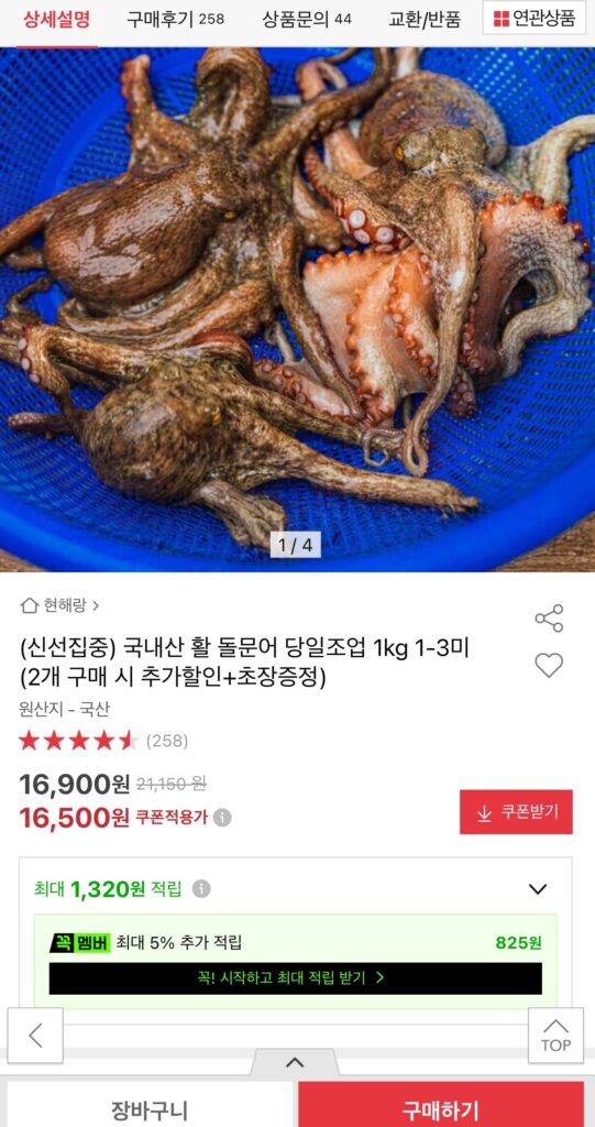 Bạch tuộc đá sống nội địa, câu cá trong ngày, 1kg 