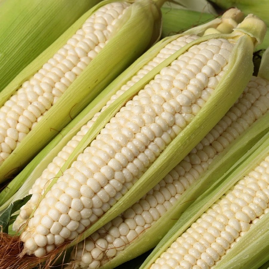 10 bắp ngô làm trắng