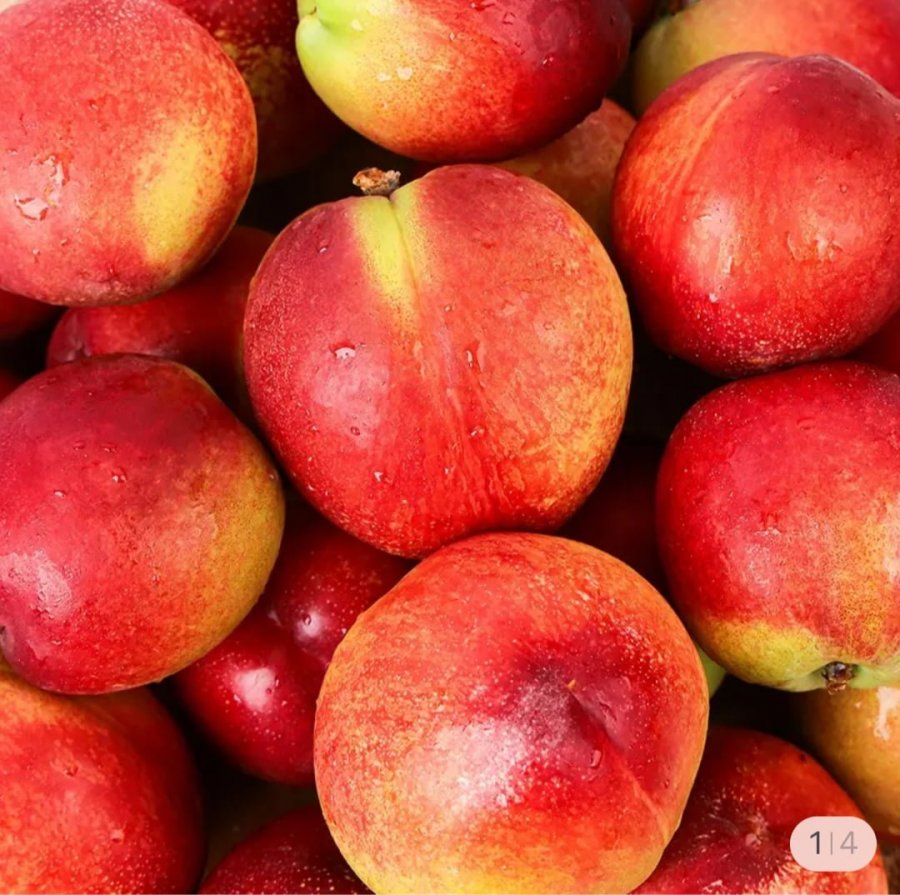 Nonghyup Cheonhong Nectarine, Hoàng Quả, 2kg