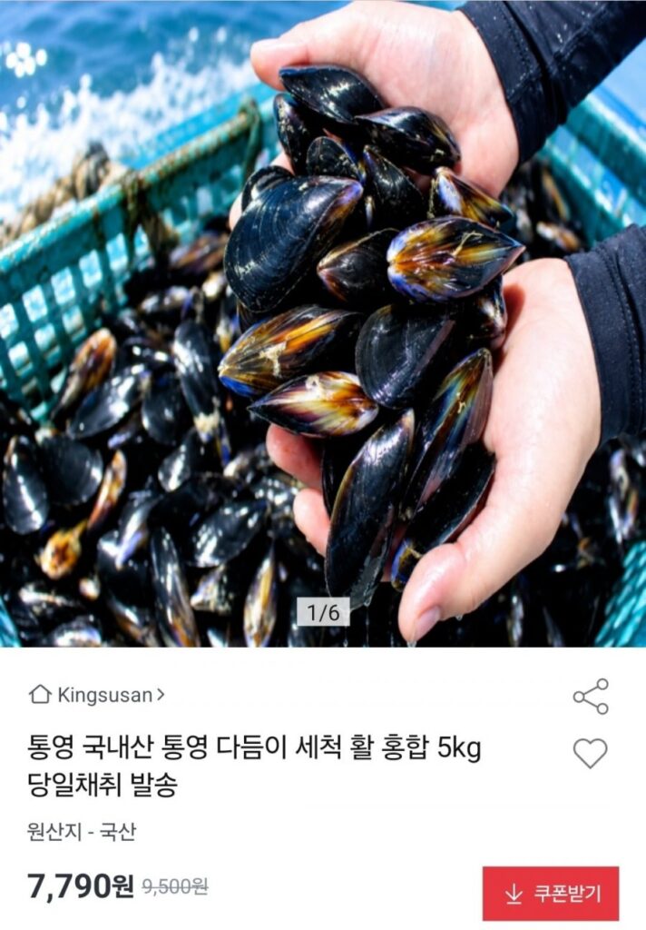 Tongyeong Deumi, trai sống rửa sạch 5kg