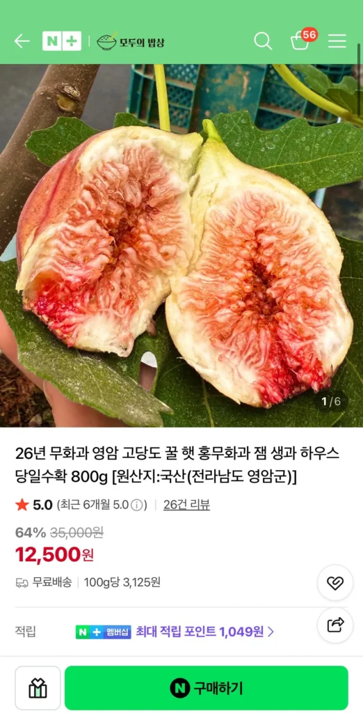 26 Năm Fig Yeongam High Sugar Honey Hat Red Fig Jam Fresh House Thu hoạch cùng ngày