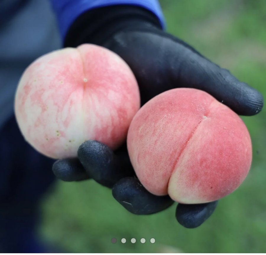 Đào trắng Gokseong Đào Madoka 4kg