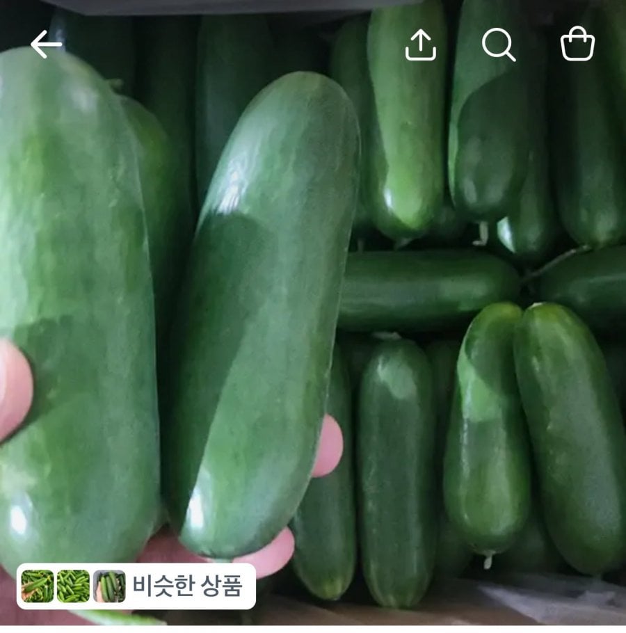 Dưa Chuột Mini Đặc Biệt 1kg