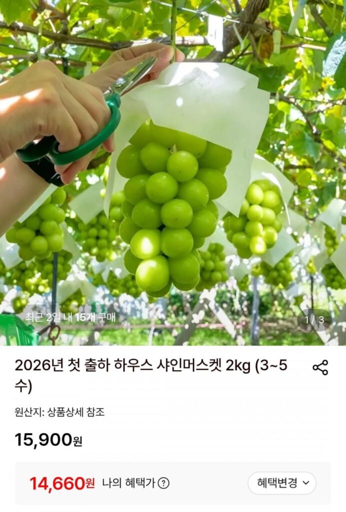 Lô hàng đầu tiên năm 2026 House Shine Musket 2kg (3-5 gói)