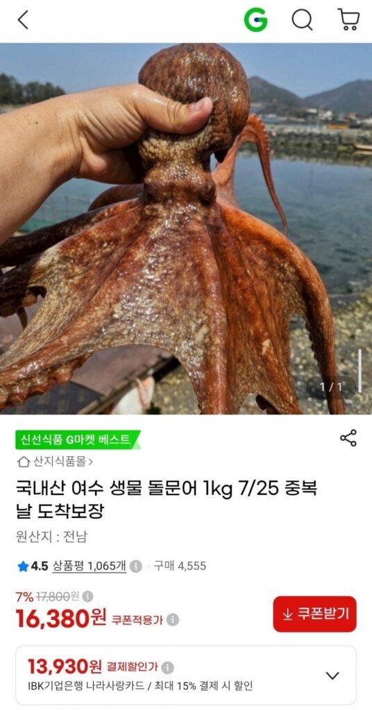 Bạch tuộc nước ngọt Yeosu nội địa 1kg