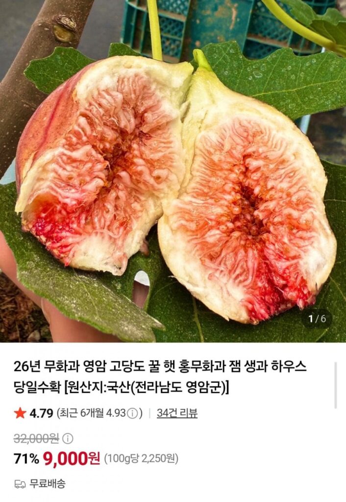 Quả sung Yeongam 400g