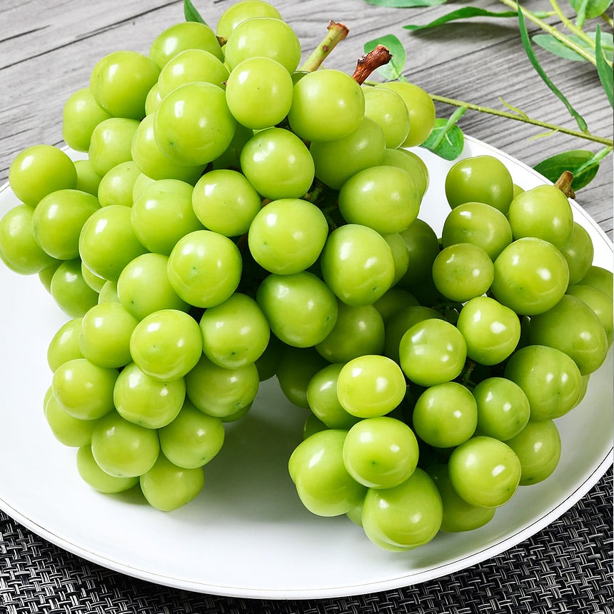 Súng hỏa mai sáng, túi nặng, 1kg, 2 cái