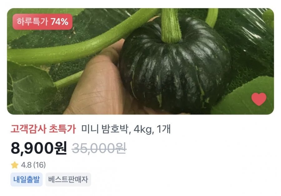 Bí ngô hạt dẻ nhỏ 4kg