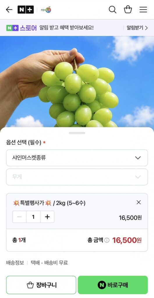Súng hỏa mai tỏa sáng 2kg