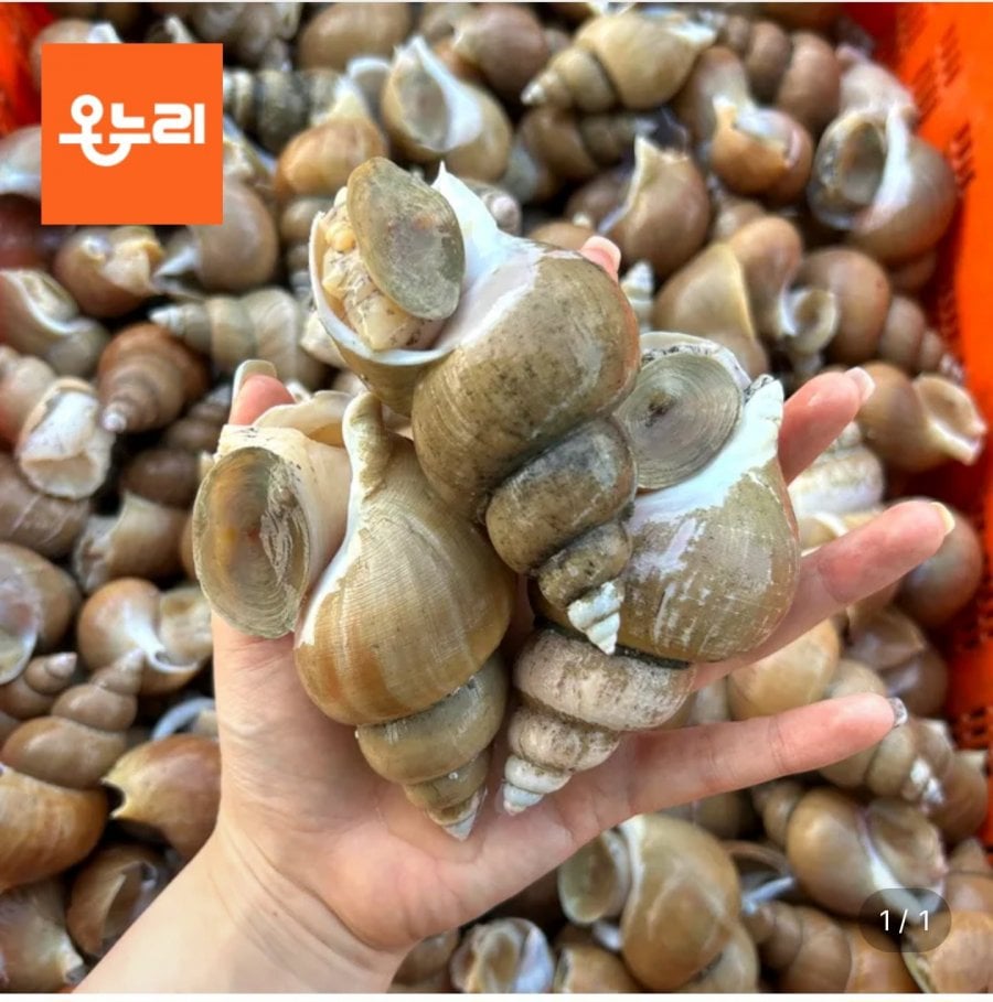 Baekgodong 1kg