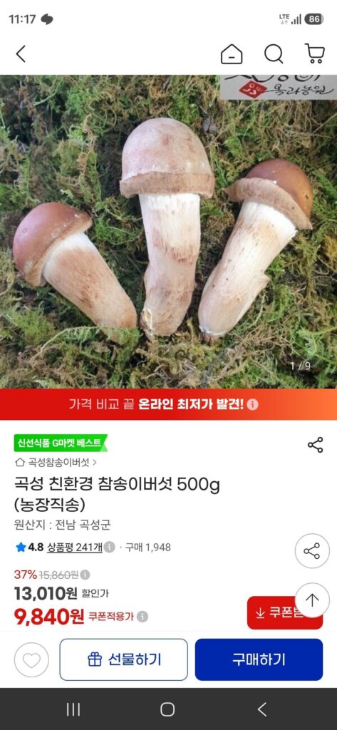 Nấm thông thân thiện với môi trường Gokseong 500g