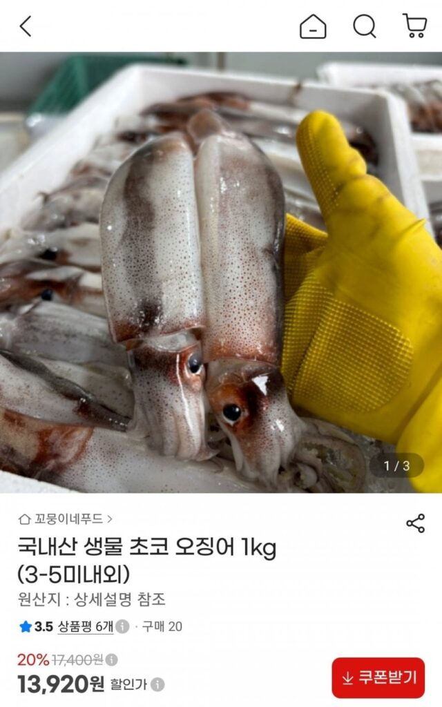 Mực sô cô la sinh vật sống 1kg