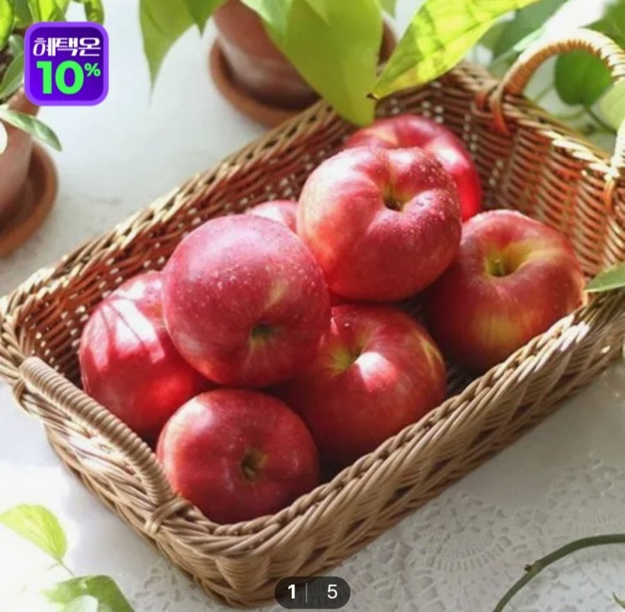 5 kg táo tươi (10-24 quả)