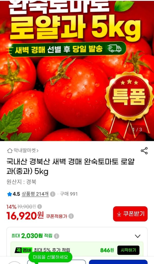 Cà chua chín hoàng gia từ Kyungbuk
