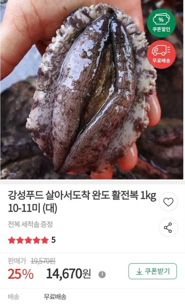 Bào ngư sống Wando còn sống 1kg 10~11 miếng