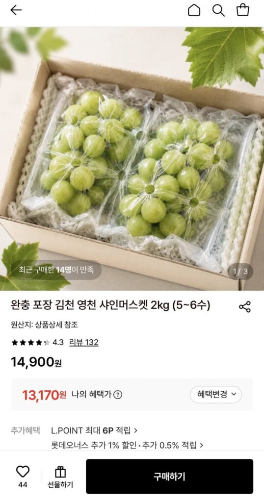 Súng hỏa mai Yeongcheon Shine 2kg (5-6 lần)